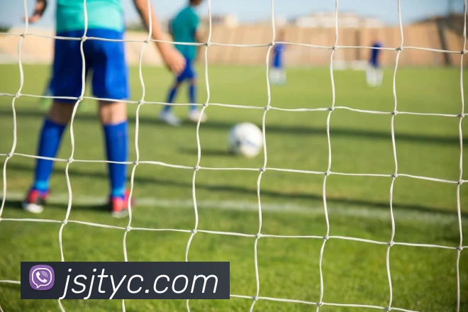 太阳城网站服务体系